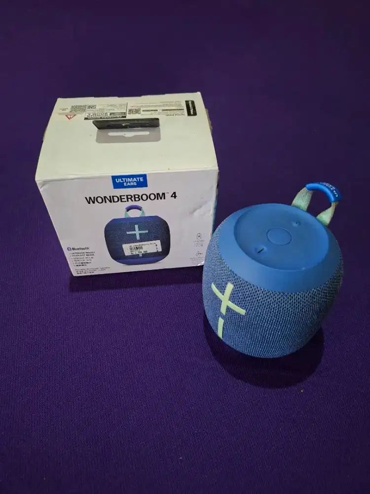 Portable Bluetooth Speaker (WONDERBOOM 4)