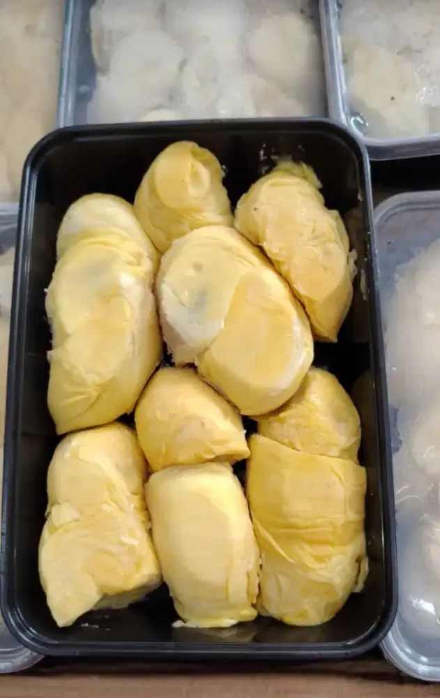 Jual duren nias