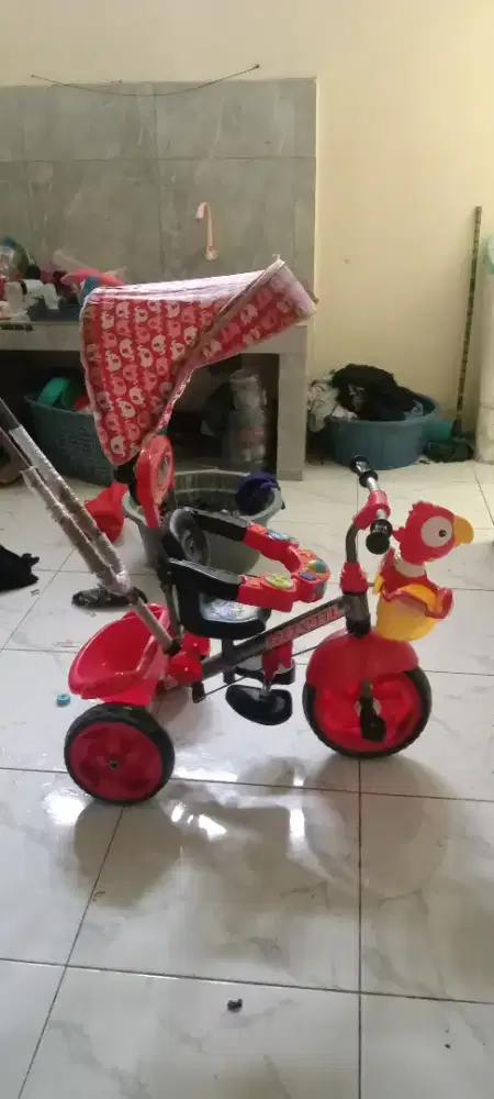 Sepedah anak famili