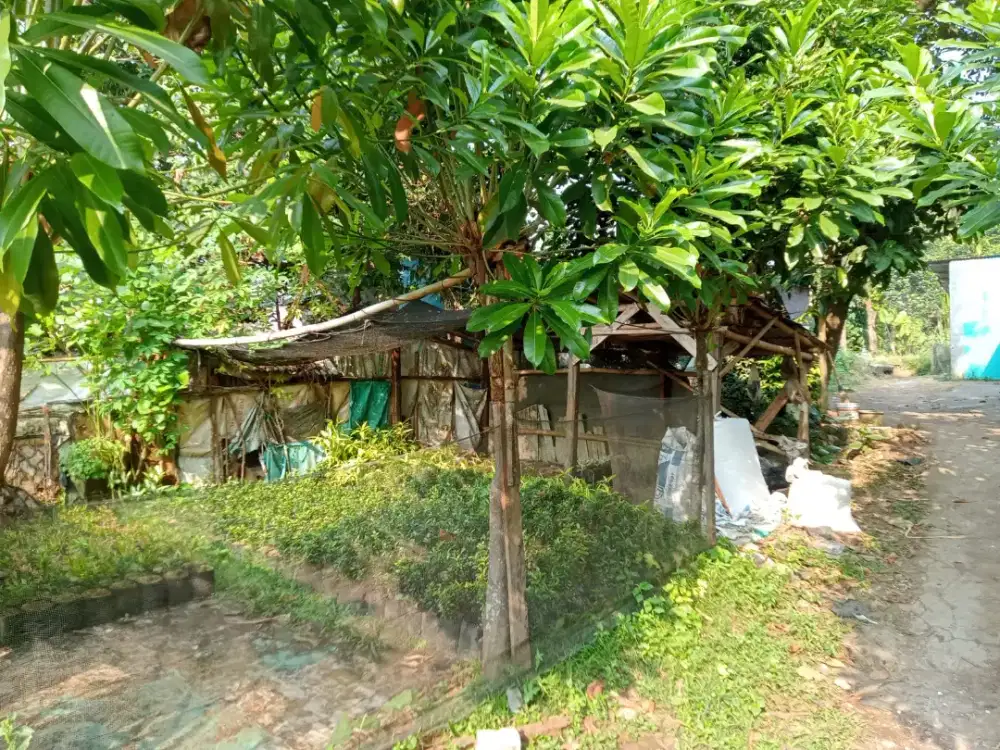 Jual  tanah  bagus  untuk rumah   gunung sindur