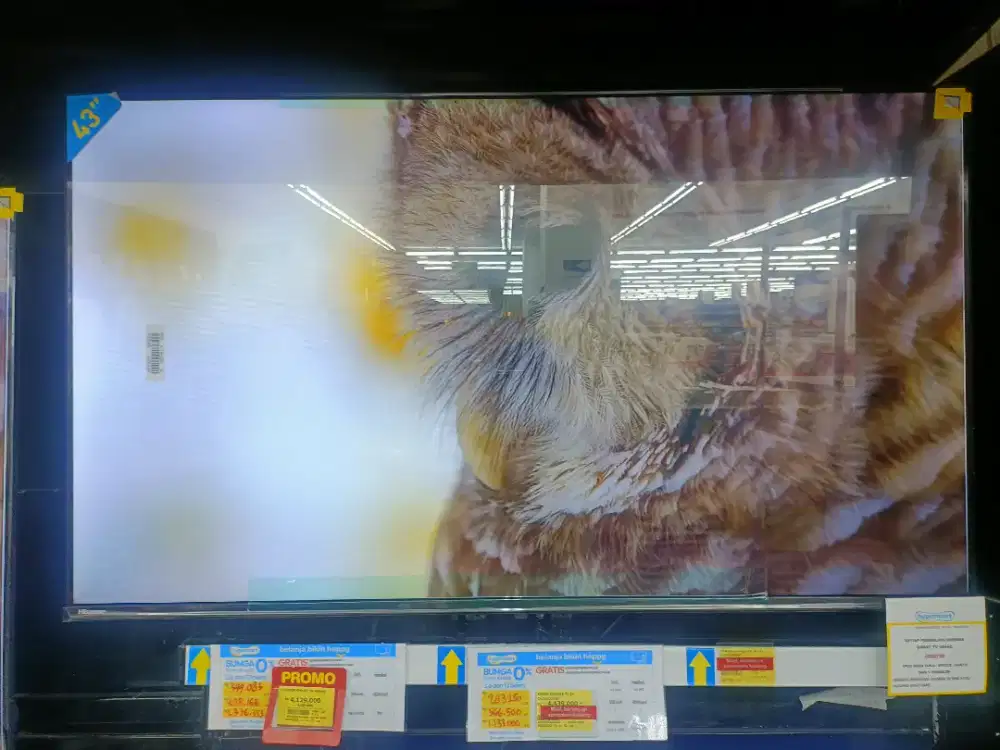 Promo Cicilan TV Hisense dan Panasonic 43inch Dengan INDODANA