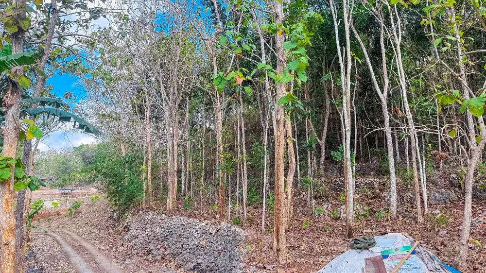 DIJUAL MURAH TANAH UNTUK VILLA