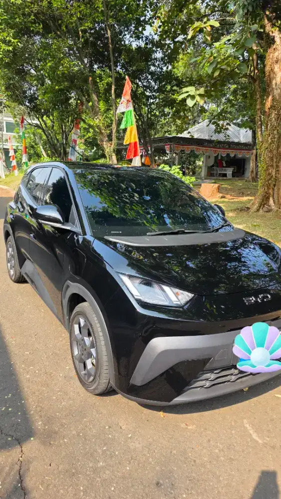 Atto1 dynamic mulus murah