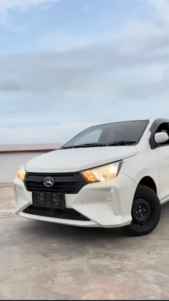All New Ayla 1.0 M Mt
