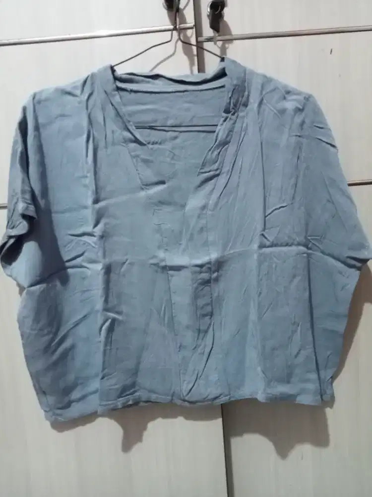 Atasan crop vneck pL