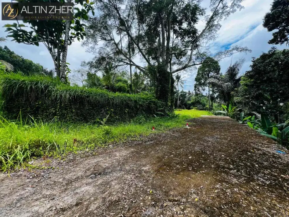 Tanah kavling murah view sungai di Payangan Ubud
