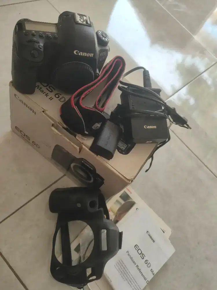 Canon 6d markll
