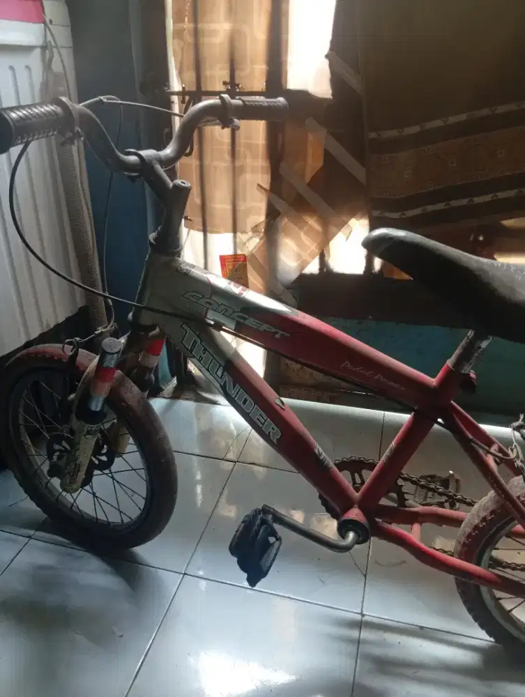 Sepeda anak laki laki