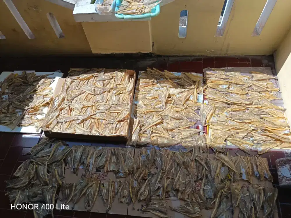 Ikan asin tipis dan ebi khas Tarakan