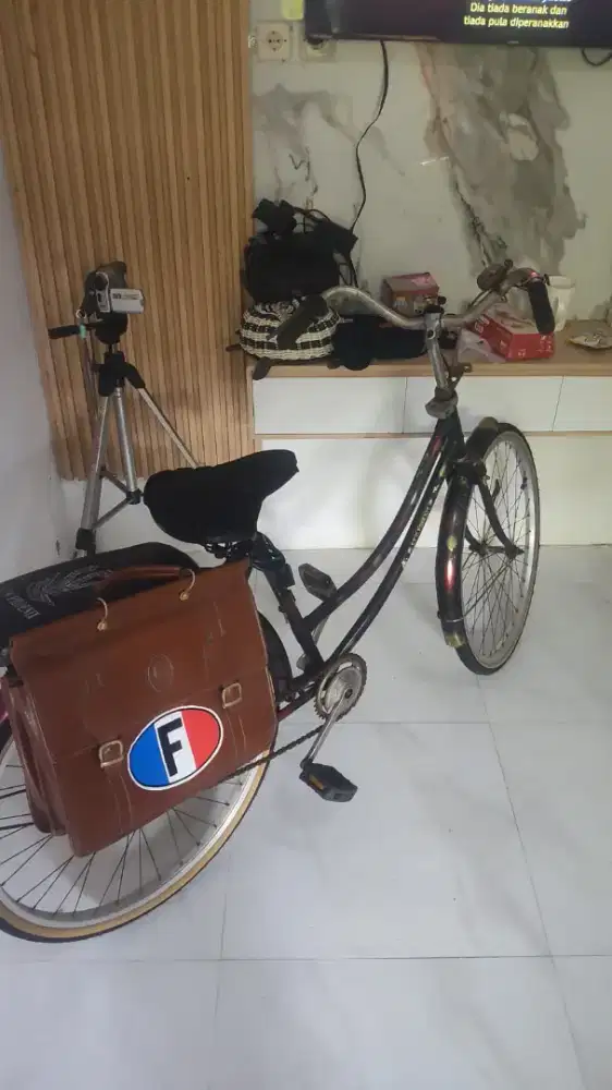 Commuter bike classic velk araya japan