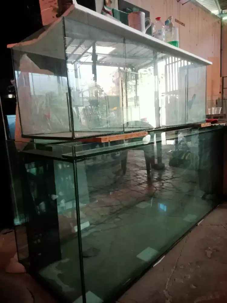 Aquarium plus filter kaca 12mm