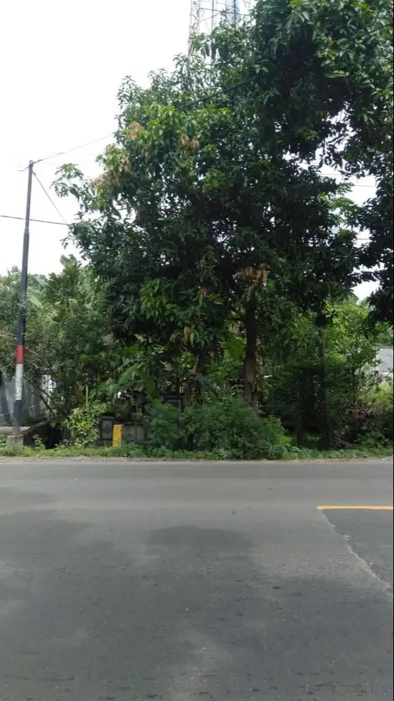 Di Jual Lahan Pribadi lokasi Pinggir Jalan raya provinsi Kediri
