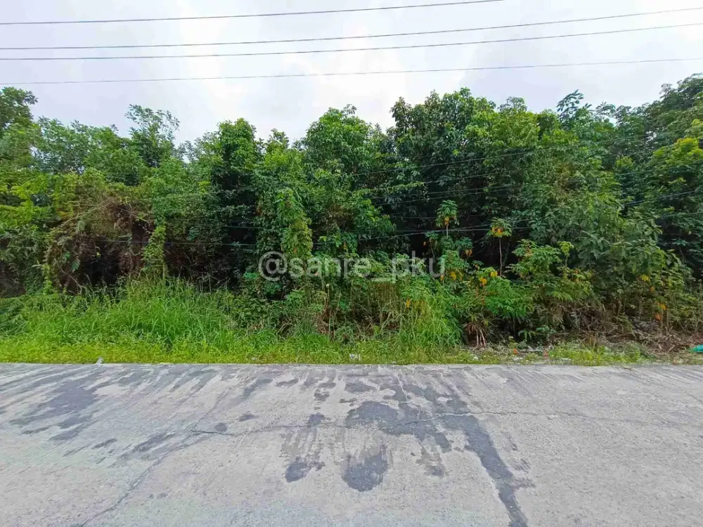 TANAH KOMERSIL DITENGAH KOTA  JL. SUKARNO HATTA DIBELAKANG PASAR INDUK, TEPI JALAN BESAR CCK UTK PERUMAHAN ELIT