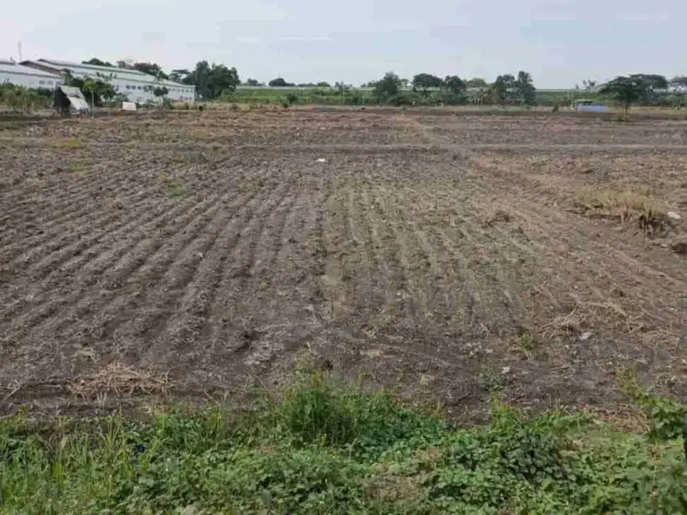 Di Jual Tanah Zona Industri Area Driyorejo - Gresik

Spesifikasi :

Luas Tanah : 4,6 Ha
Lebar Depan : 170 M
Legalitas : SHM (1 pemilik)
Akses Kontainer 40 Feet
Kontur Tanah : Padat & selevel jalan

Seling Point :

*10 Menit exit tol Legundi 
*10 Menit exi