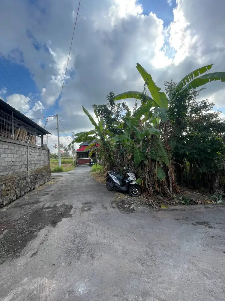 Tanah 1 Are Strategis di Batubulan – SHM, HOOK, Jalan 5M, Siap Bangun!