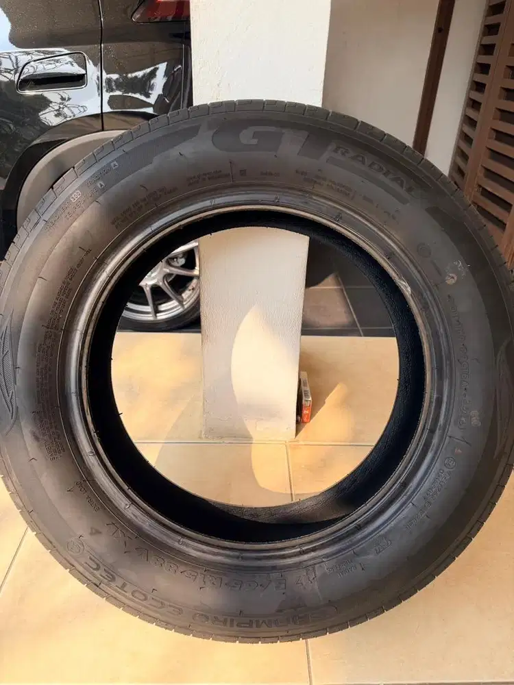 Ban GT radial EV champiro 175/65 ting 15