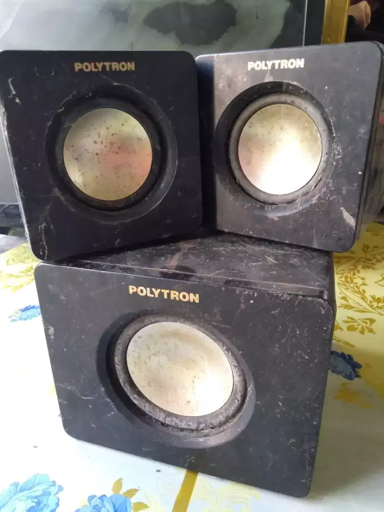 Speaker sound Polytron