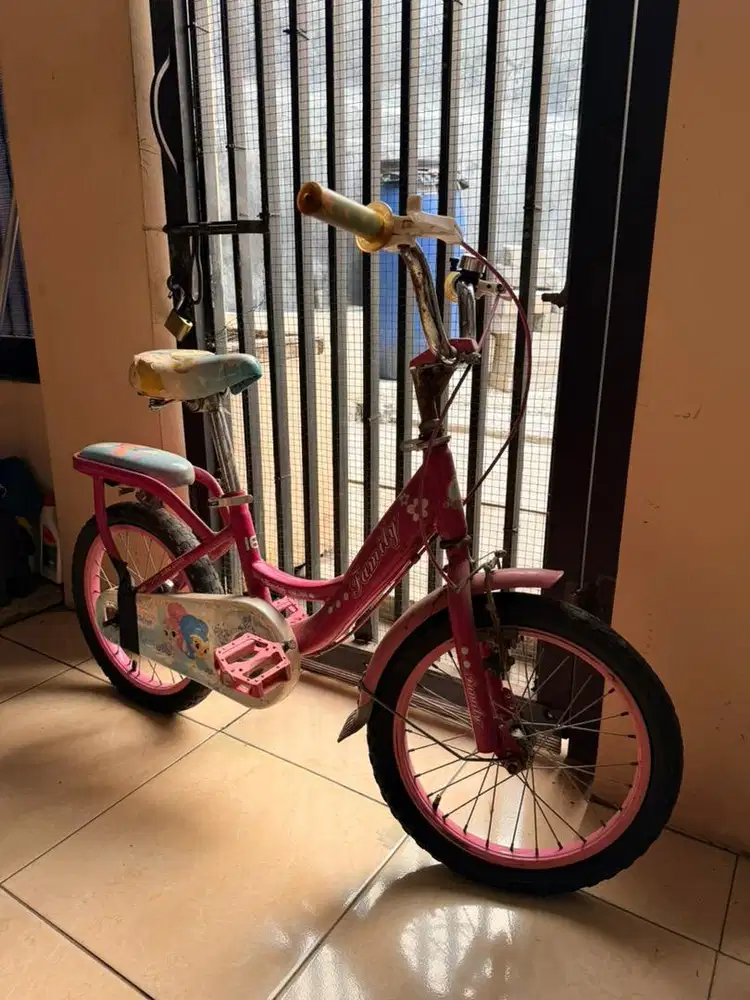 Sepeda Anak Pink
