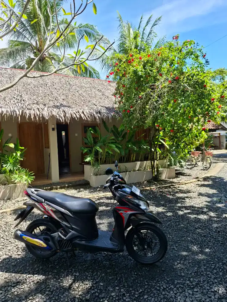 Vario 125 Low km Mulus