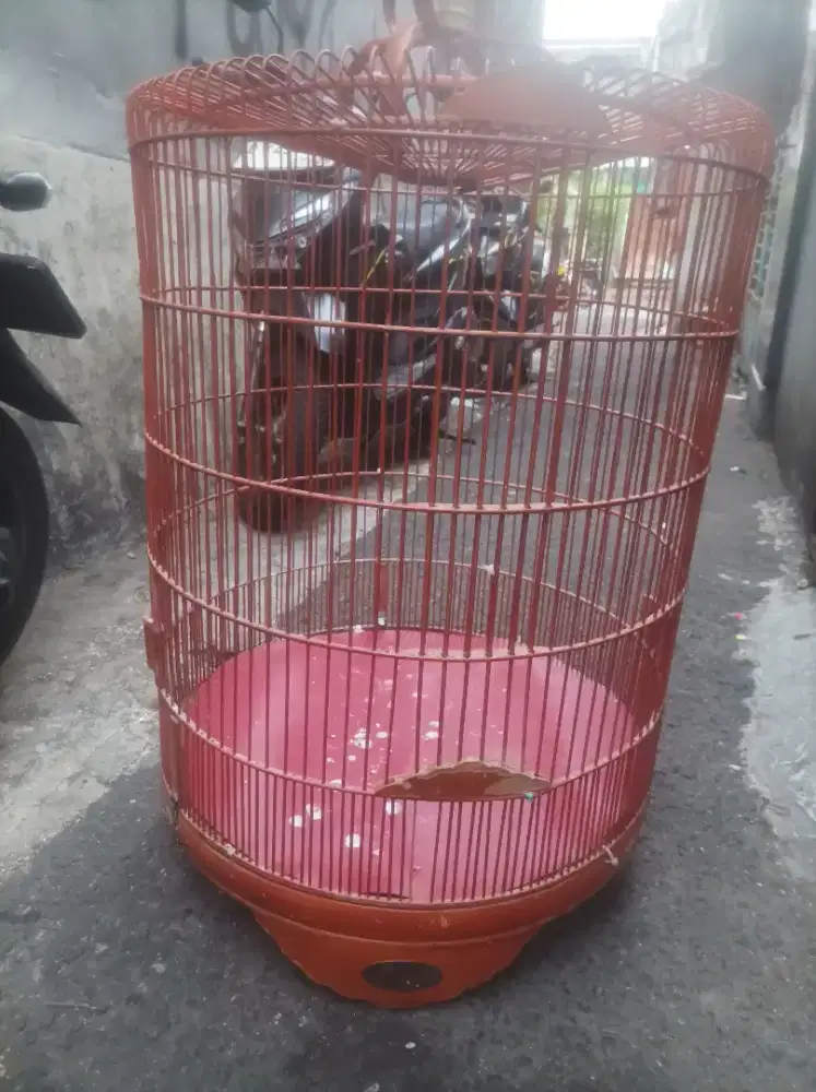 Kandang bnr nmr 2 kondisi ape Ade Nye