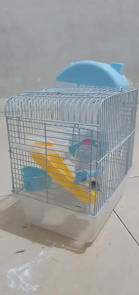 Kandang Hamster Complete