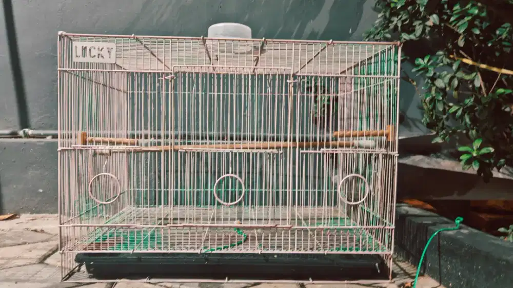 Kandang Lucky Burung