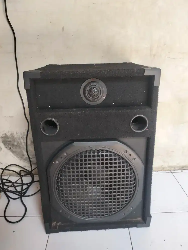 Salon pasif ukuran 12in normal