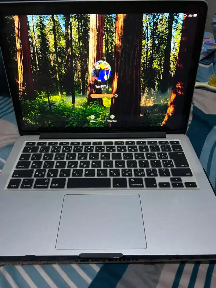 Macbook pro retina display