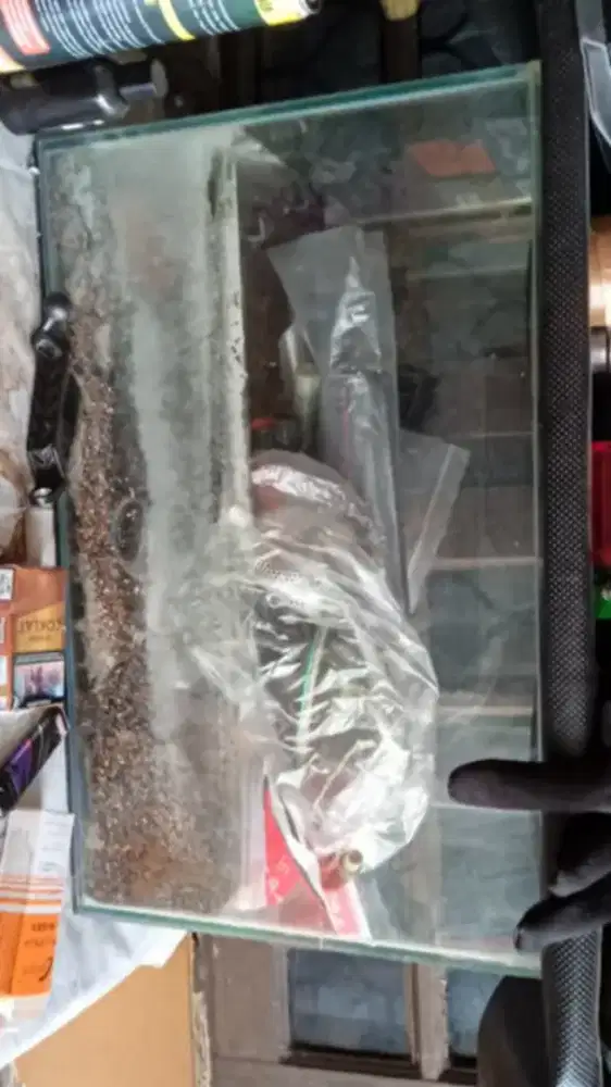 Tank aquarium 50 cm