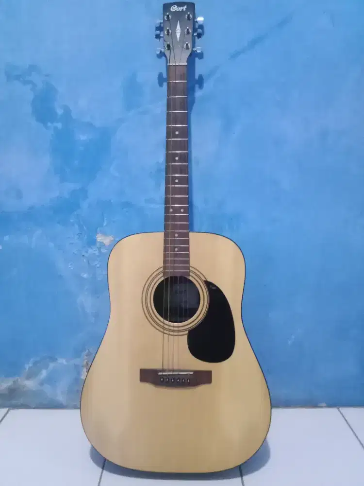 Dijual Gitar Cort Original AD 810