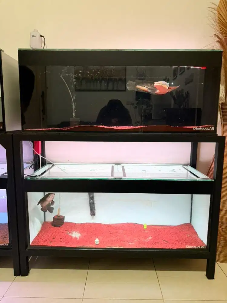 2 Aquarium + Rak