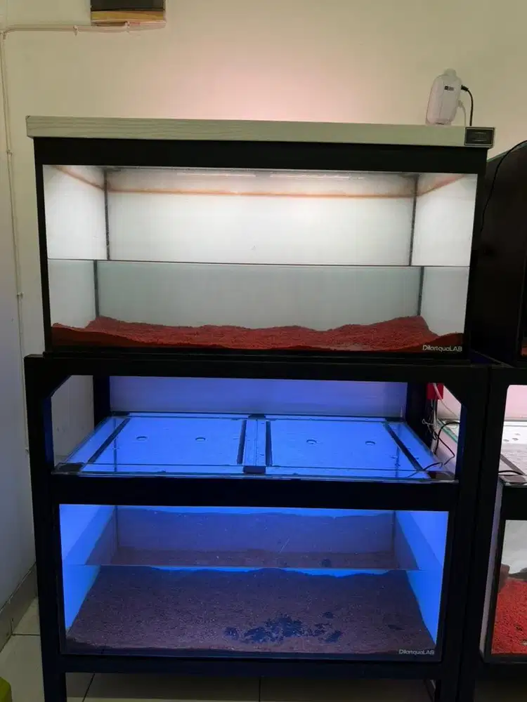 2 Aquarium + Rak
