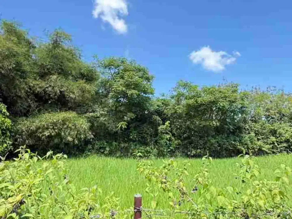 Tanah bagus sangat cocok untuk di bangun villa