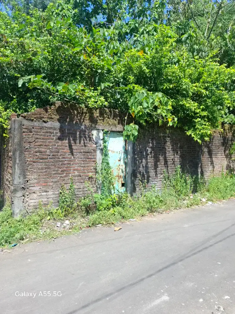 Dijual kapling murah depan ponPes Jekulo Kudus