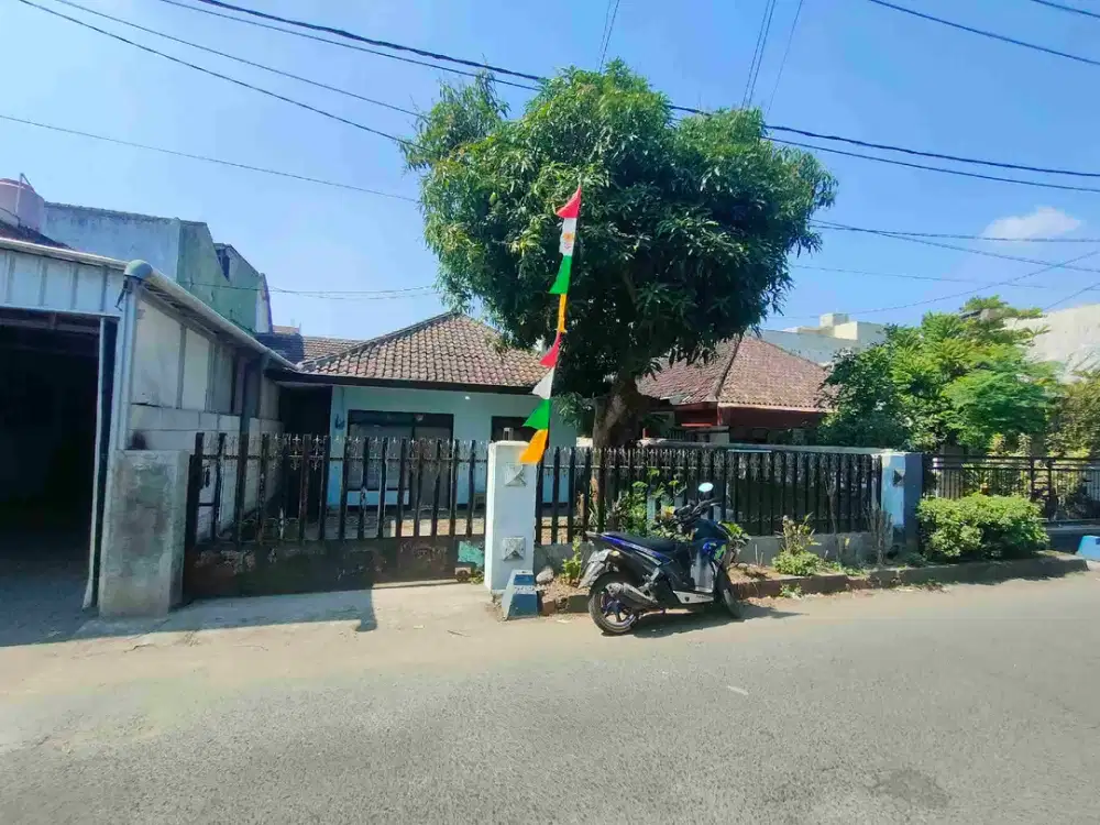Tanah Bunga Coklat Pisang Kipas Belakang Pizza Hutt Suhat