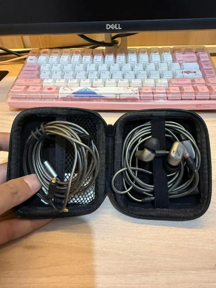 SENNHEISER IE 600 Premium Audiophile in-Ear Earphone