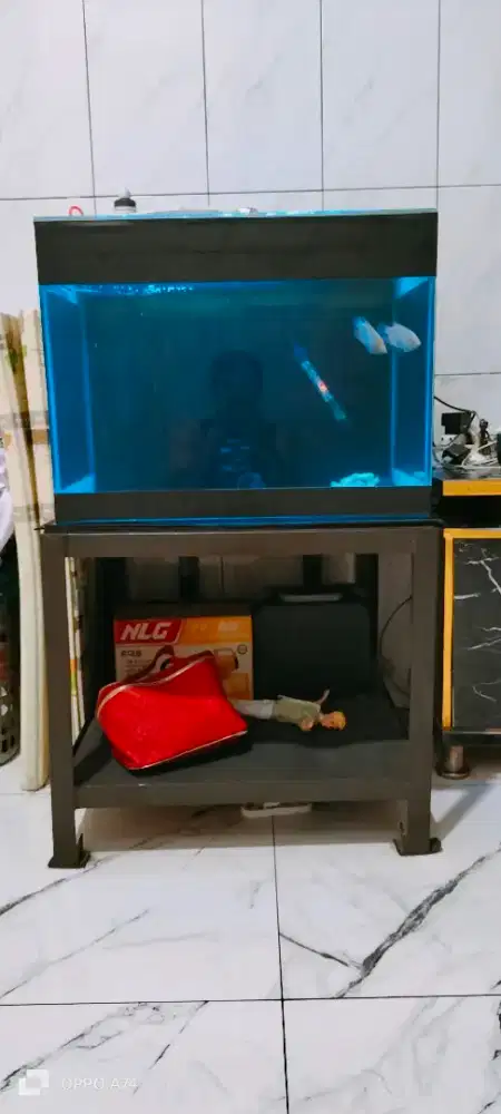 Aquarium  60x60 tebal kaca 6mm