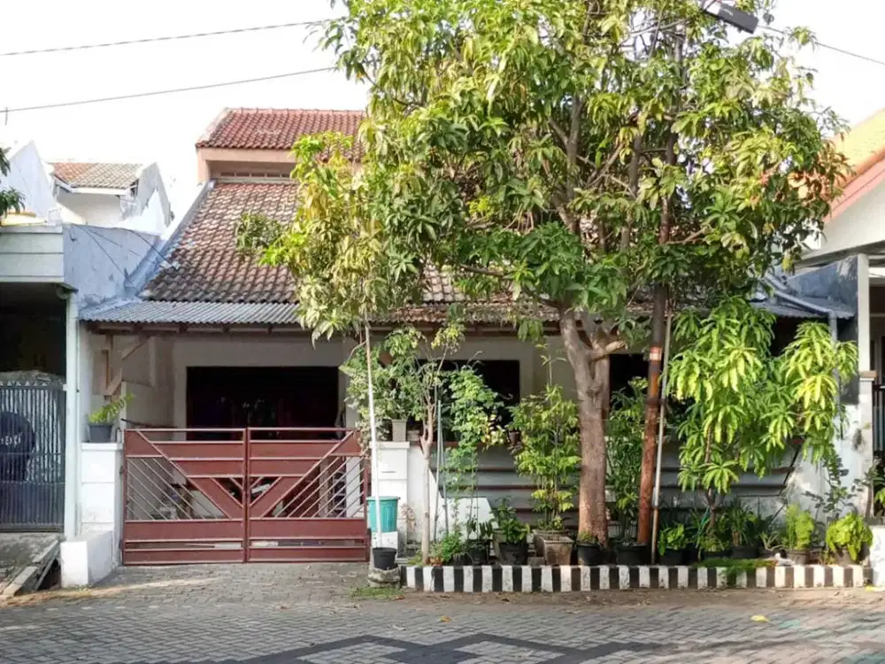Dijual Rumah Siap Huni Pandugo Rungkut MERR REV.A620
