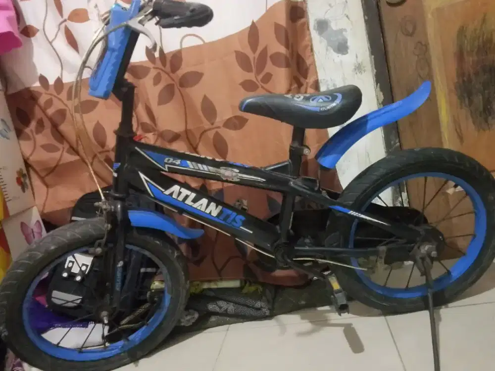 Sepeda anak laki-laki
