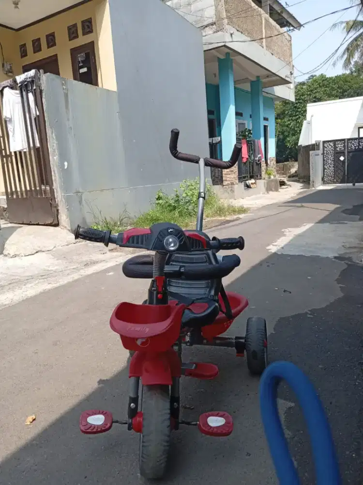Sepeda anak roda 3 family verde