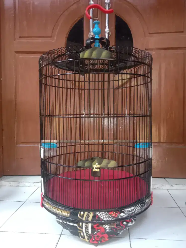 Sangkar Burung murai Pvc No 2 DM 56 Merk Ebod jaya, bekas layak pakai