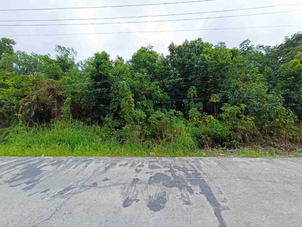 TANAH KOMERSIL DITENGAH KOTA  DIARENGKA BELAKANG PASAR INDUK, CCK UTK PERUMAHAN ELIT