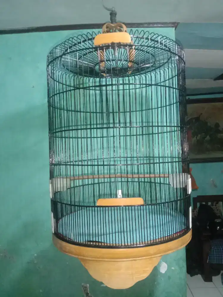 Sangkar Burung murai  No 2 DM 56,  bekas layak pakai, Siap antar