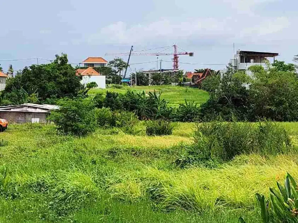Tanah Luas 1300m2 Dekat Pantai Seseh Canggu - Thumbnail 5