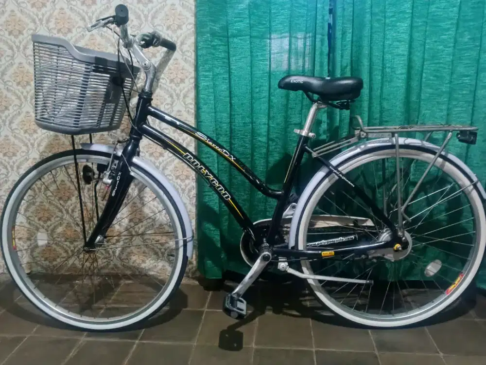 Polygon Sierra Dx.3