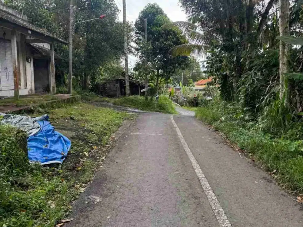 Tanah Luas View Gunung Agung di Kerta Payangan Ubud - Thumbnail 4