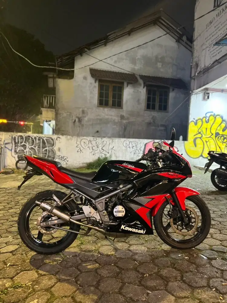 ninja rr 2014 new