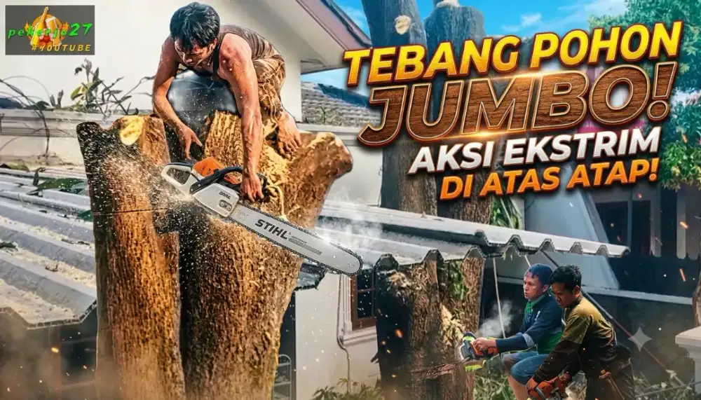 Jasa tebang pohon