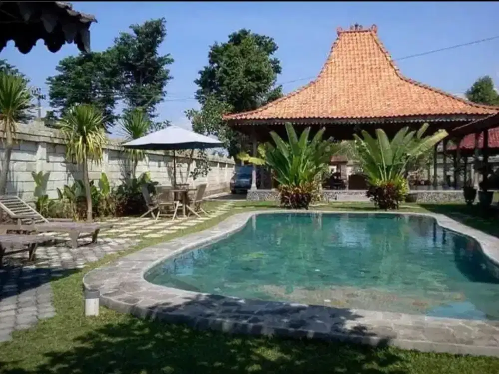 Villa Joglo Mewah dengan Kolam Renang di Maguwoharjo Sleman