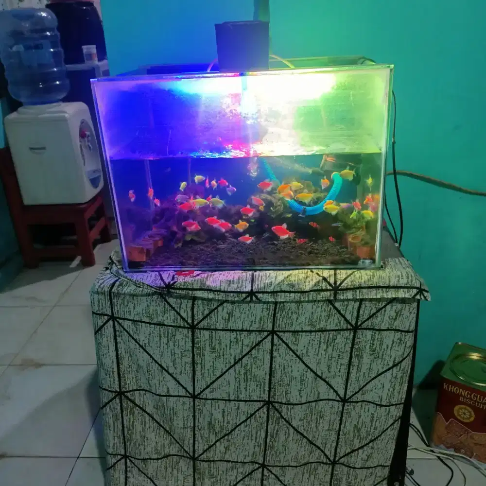 Dijual aquarium borongan ukuran 80x50